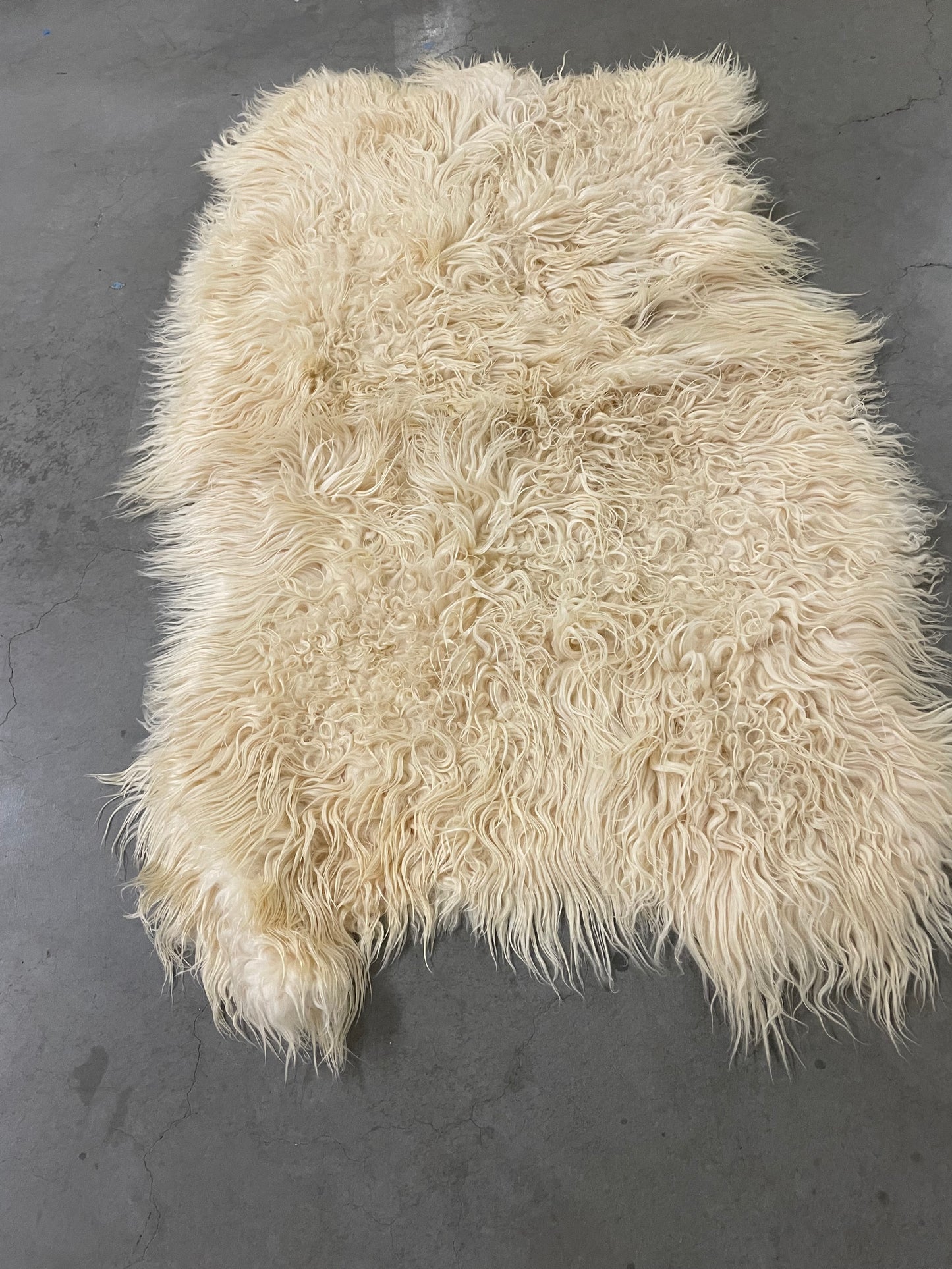 4x6 ivory long haired Mongolian sheepskin
