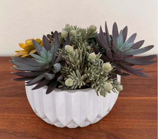 Bowl of succulents