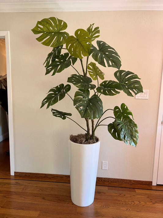 Fake split leaf philodendron