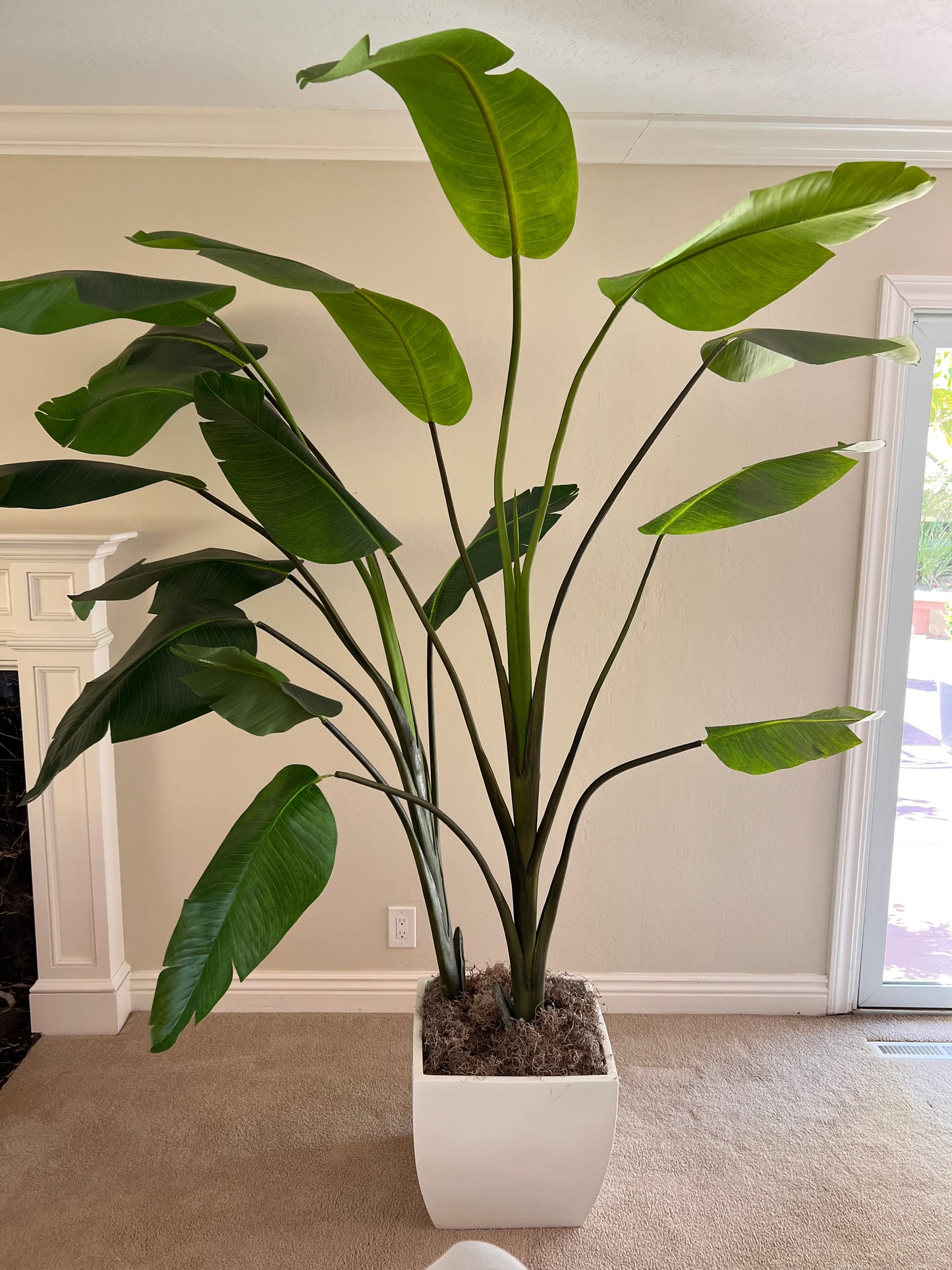 Fake bird of paradise; 90" tall