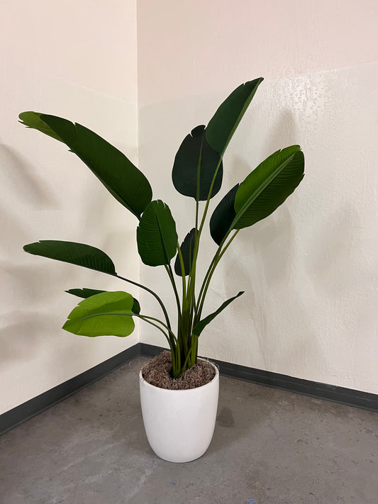 Fake bird of paradise; 75" tall