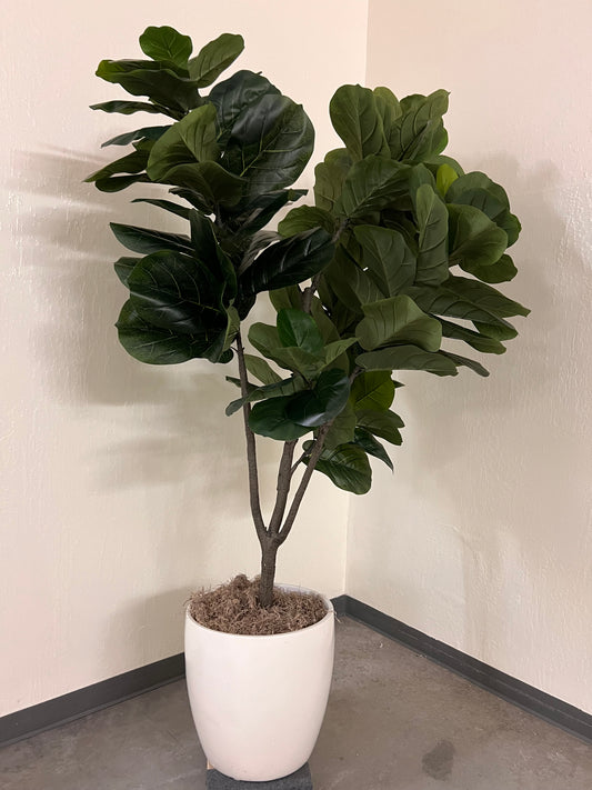 Fake ficus tree; 90"