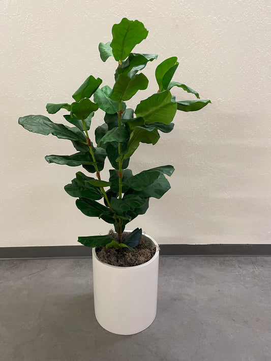 Fake ficus tree; 59" tall