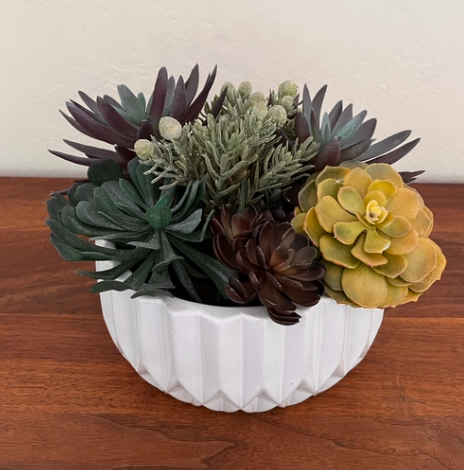 Bowl of succulents