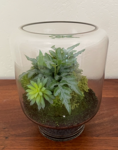 Glass terrarium